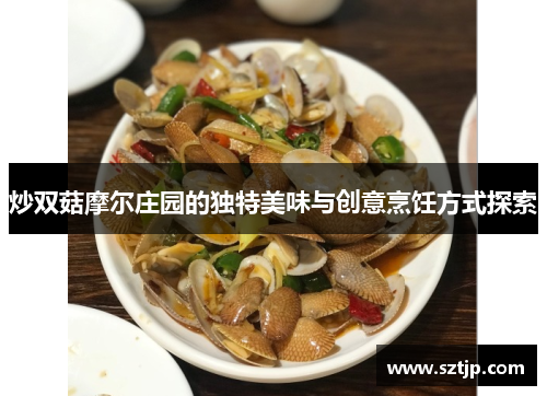 炒双菇摩尔庄园的独特美味与创意烹饪方式探索
